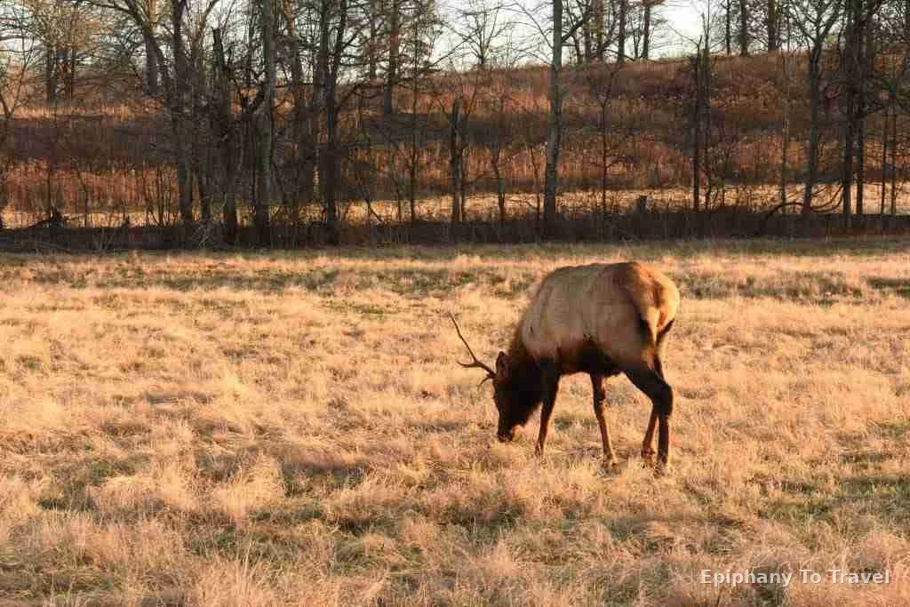Christmas Holiday at Kentucky Lake Lodge