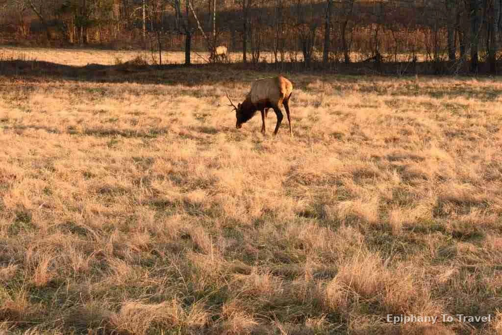Christmas Holiday at Kentucky Lake Lodge