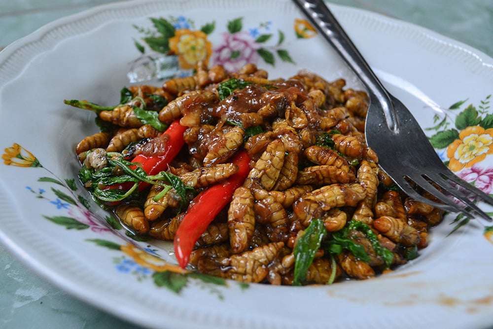 Adventure Travel: Adventure Seeker Eating Insects in Thailand