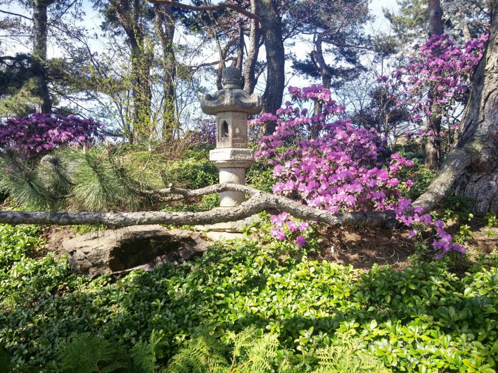 Beautiful flowers and gardens around the world: Botanical Gardens in Chicago Illinois, USA